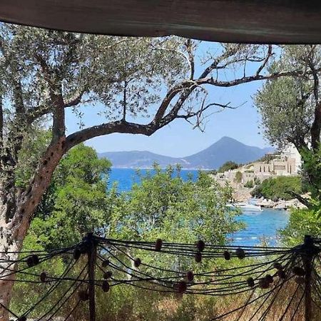 Apartmani Roganovic Luštica Exterior foto